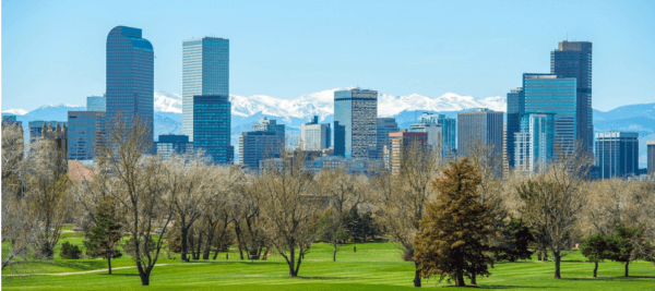 Denver IT Consultants